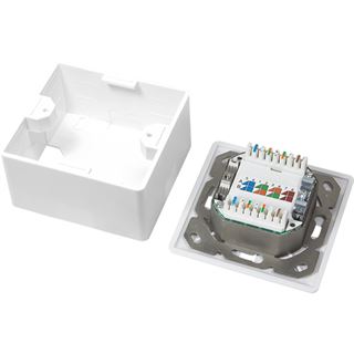 LogiLink Wanddose RJ-45 X 2 - RAL 9003 - 2 Ports