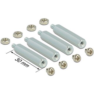 Delock Befestigungsset f&uuml;r Raspberry Pi 30 mm