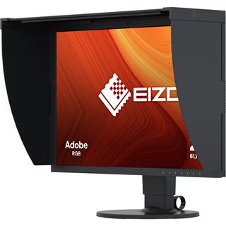 24" (60,96cm) EIZO ColorEdge CG2420 schwarz 1920x1200