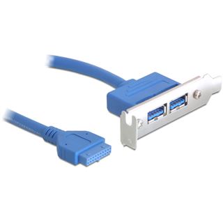 Delock Slotblech USB 3.0 2xPort extern / 1x Pin