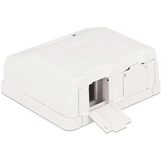 DeLOCK Keystone Leergeh&auml;use 2 Port mit Staubschutz