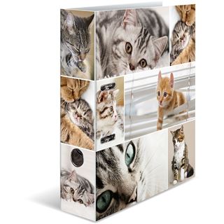 HERMA Ordner A4 Katzen