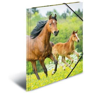 Herma Eckspannermappe "Pferde", aus PP, DIN A4