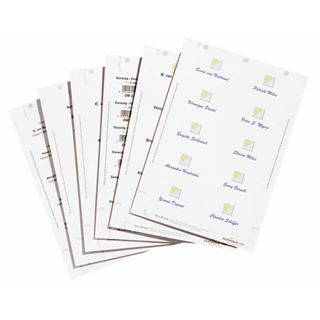 DURABLE Einsteckschilder f&uuml;r Namensschilder, 90 x 54 mm