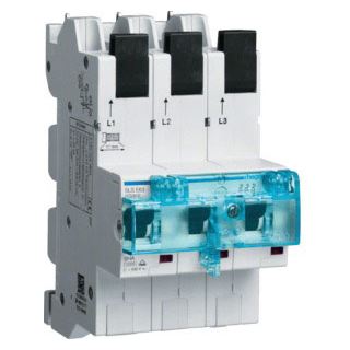 Hager SLS-Schalter E 3p Sammelschien 63A 230V 690V/Ui 25kA 6kV Gr:2