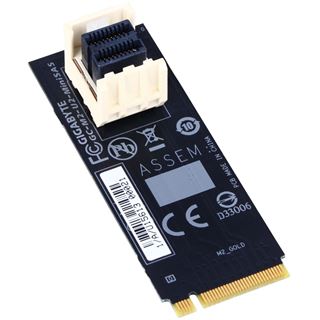 Gigabyte GC-M2-U2-MINISAS