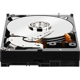 10TB WD Gold WD101KRYZ 256MB 3.5" (8.9cm) SATA 6Gb/s