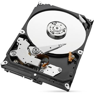 1TB Seagate IronWolf ST1000VN002 64MB 3.5" (8.9cm) SATA 6Gb/s