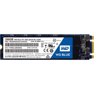 250GB WD Blue M.2 2280 M.2 6Gb/s TLC Toggle (WDS250G1B0B)