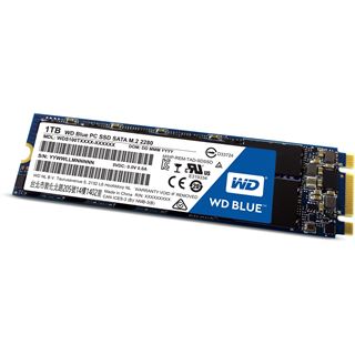 1TB WD Blue M.2 M.2 6Gb/s TLC Toggle (WDS100T1B0B)