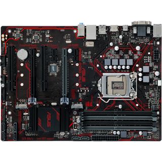 Asus Prime B250-Plus Intel B250 So.1151 Dual Channel DDR4 ATX Retail