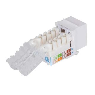 Intellinet Abschließbare Cat6 Modularbuchse UTP werkzeuglos
