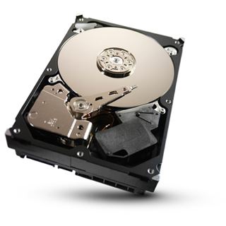 500GB Seagate Barracuda 7200.9 ST3500641AS-RK 16MB 3.5" (8.9cm)