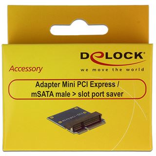 Delock Adapter mini PCI Express/ mSATA -> Slot Portschoner