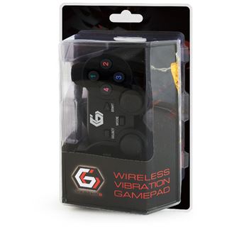 Gembird Gamepad USB/PC/PS2/PS3 Kabellos DualVibr. 10 Tasten