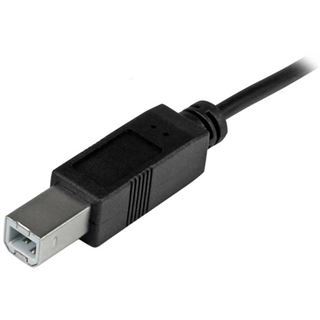 Startech 2M 6FT USB 2.0 C TO B CABLE