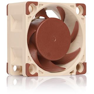 Noctua NF-A4x20 5V 40x40x20mm 5000 U/min 14.9 dB(A) braun/beige