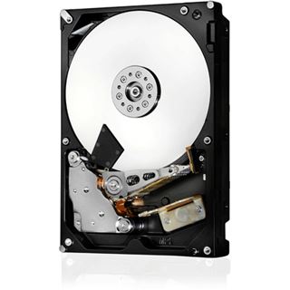2TB Hitachi Ultrastar 7K6000 HUS726020ALE610 128MB 3.5" (8.9cm)