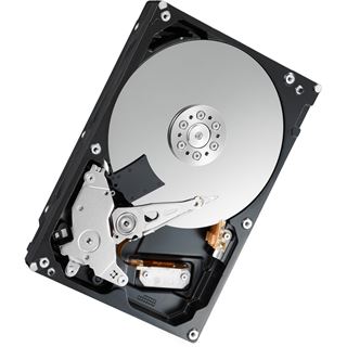 2TB Toshiba P300 High-Performance HDWD120UZSVA 64MB 3.5" (8.9cm)