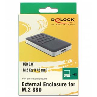 Delock Geh&auml;use M2 SSD 42mm > USB 3.0 Typ Micro-B