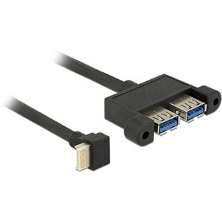 Delock Kabel USB 3.1 Gen 2 Key B 20 Pin Stecker > 2 x USB 3.