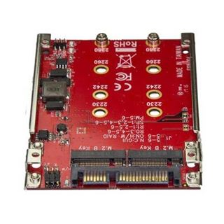 Startech DUAL M.2 zu SATA Raid Adapter