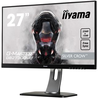 27" (68,58cm) iiyama G-MASTER GB2730QSU Silver Crow schwarz
