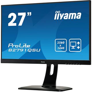 27" (68,58cm) iiyama ProLite B2791QSU-B1 schwarz 2560x1440