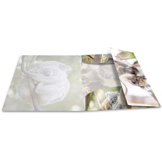 HERMA Eckspannermappe "Koala", PP Glossy, DIN A4