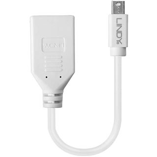 Lindy Adapterkabel Mini-DP (M)/DP (F) Kupplung, ca 15cm extern bulk