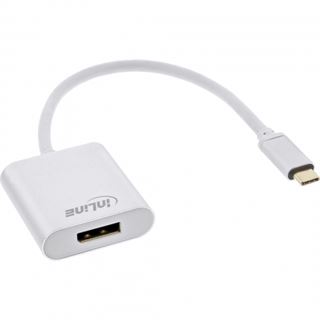 InLine USB Display Konverter, USB-C Stecker zu DisplayPort Buchse (DP