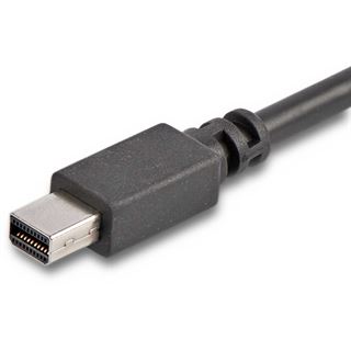 (&euro;8,28*/1m) 1.80m Startech Displayport Adapterkabel DisplayPort