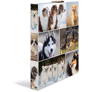 HERMA Ringbuch "Hunde", DIN A4, 4-Ring-Mechanik
