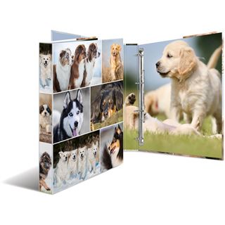 HERMA Ringbuch "Hunde", DIN A4, 4-Ring-Mechanik