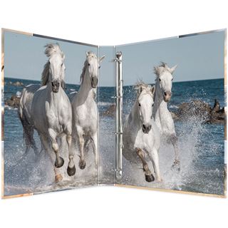 HERMA Ringbuch "Pferde", DIN A4, 4-Ring-Mechanik