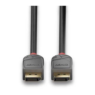 (€11,90*/1m) 1.00m Lindy Displayport 1.4 Anschlusskabel 3-fach