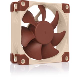 Noctua NF-A8 5V PWM 80x80x25mm 450-2200 U/min 17.7 dB(A) braun/beige