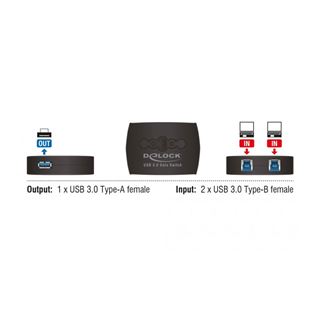 Delock USB 3.0 Sharing Switch 2  1