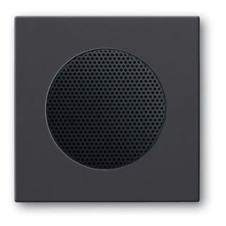 Busch-Jaeger Zentralscheibe AudioWorld glz anthrazit