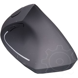 Gembird Ergonomic ERGO-01 2.4 GHz schwarz (kabellos)