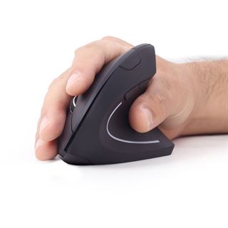 Gembird Ergonomic ERGO-01 2.4 GHz schwarz (kabellos)