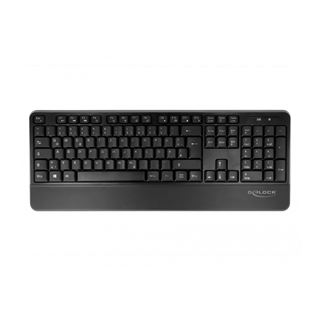 Delock USB Tastatur und Maus Set 2,4 GHz (Handballenauflage), schwarz