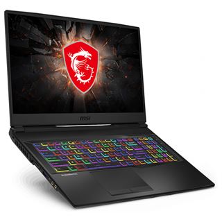 Notebook 17.3" (43,94cm) MSI GL75 9SFK-1240