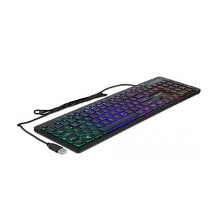 Delock USB Tastatur kabelgebunden 1,5 m schwarz mit RGB Beleuchtung