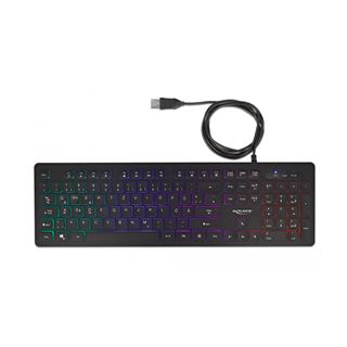 Delock USB Tastatur kabelgebunden 1,5 m schwarz mit RGB Beleuchtung