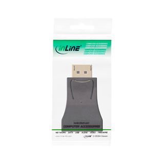InLine DisplayPort Konverter, DisplayPort Stecker auf VGA Buchse,