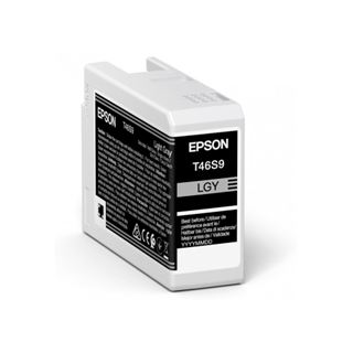 Epson Tinte light grau (C13T46S900)