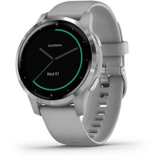 Garmin vivoactive 4S Grau/Silber
