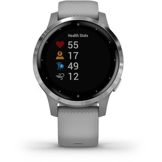 Garmin vivoactive 4S Grau/Silber