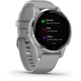 Garmin vivoactive 4S Grau/Silber